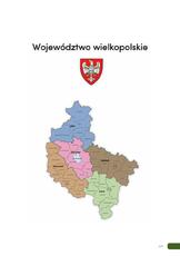 Raport_O_sytuacji_Wielkopolska.pdf