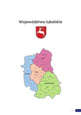 Raport__Lubelskie_2018_pol.pdf