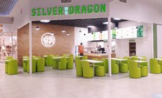 Silver Dragon_Galeria Zielone Wzgórze.jpg