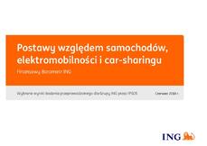 raport_IIS_elektromobilność_060618.pdf