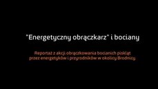 Grupa_Energa_bociany_short_bez_muzyki.mov