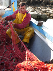 Michele working with fishnet (c) Giuseppe Affinito - Archivio Consorzio di Gestione di Torre Guaceto.jpg