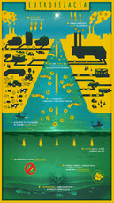 WWF_infografika.jpg