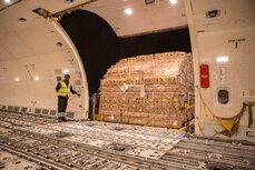 Roses being loaded in Emirates  SkyCargo freighte r in Kenya.jpg