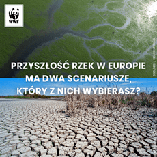 Przyszłość, rzek w Europie ma dwa scenariusze, który z nich wybierasz znak zapyt..png