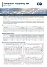 BIK_NL_kredytowy_sprzedaż_luty2019_26032019.pdf