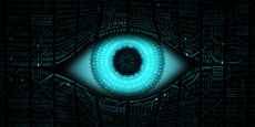 Netia-Data-Safe-Eye-Horizontal.jpg