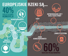 60-40_ inforgraphic_PL (1).jpg