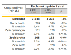 Budimex_wyniki_grupy_Ipół2019.PNG