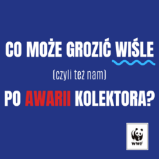 Dodaj nagłówek (1) (1).png