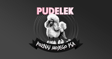 Poznaj mojego psa.png