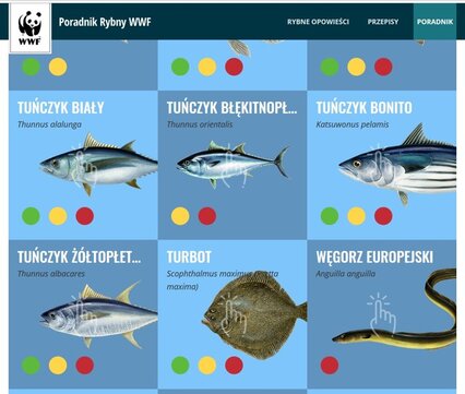 Poradnik Rybny WWF online