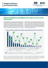 Zaleglosci sektorów po 2 kwartale 2020.pdf