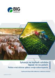 Raport Rolnictwo.pdf