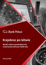 Raport specjalny_wyniki firm 1H20.pdf