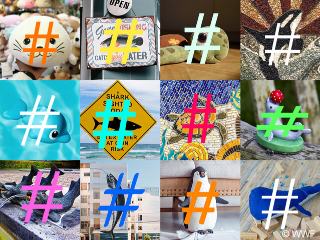 galeria-hashtagi