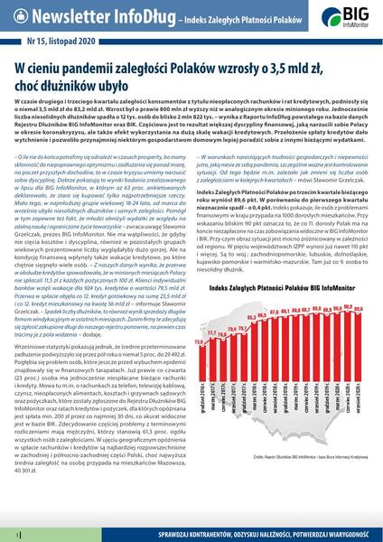 Raport InfoDług_listopad 2020.pdf