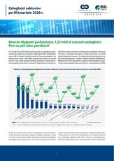 BIG InfoMonitor  Branże długami podzielone, 1,22 mld zł nowych zaległości firm w pół roku pandemii.pdf