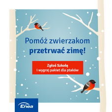 Fundacja Enea - Pomóż zwierzakom przetrwać zimę (3).png