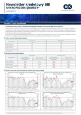 BIK_NL_Mikrofirmy_sprzedaz styczen 2021_23022021.pdf