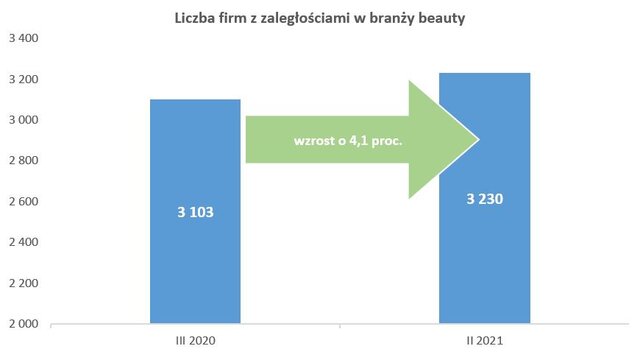 Branża beauty dostanie pomoc na spłatę 95 mln zł długów , infografika, liczba firm z zaległościami w branży beauty