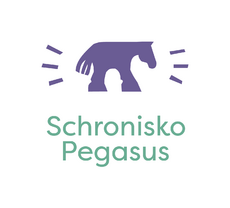Pegasus_logo.png