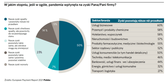 Pandemia obniżyła dochody 6 na 10 firm w Polsce - wykres kołowy, w jakim stopniu pandemia wpłynęła na zyski pana firmy?