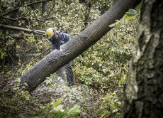 6-10-2017_AwarieEnergetyczne_FotoJeremiAstaszowJerBaStudio_WWW (13).jpg