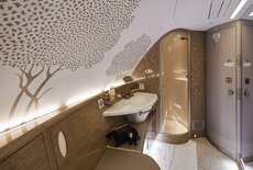 emiratesa380showerspa.jpg