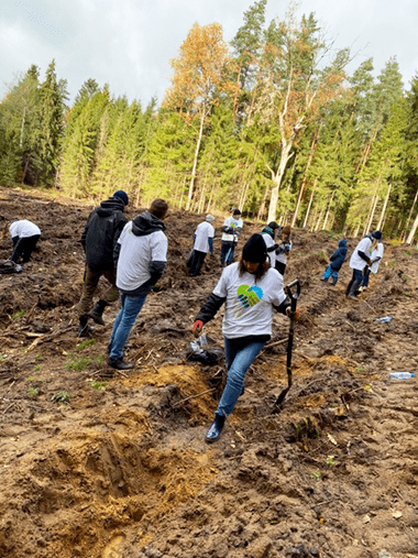 Zdjęcie sadzenie lasu_Provident_Dotlenieni_wolontariusze