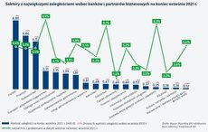 Wykres_Sektory z największymi zaległościami.jpg