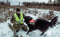 Selekcja kandydatów na nawigatorów w GPR K9 (1).jpg