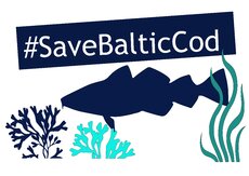 savebalticcod-A4-printout-PDF_page-0001.jpg