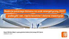 Reakcja polskiego biznesu na szok energetyczny 2022_raport ING_18 X.pdf