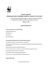 Analiza Ekspercka-Odra-PEŁNA WERSJA.pdf