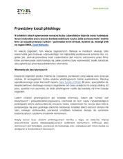 Zyxel _ The True Cost of Phishing Attacks.pdf