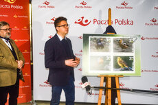 ZNACZEK_Ptaki_polskich_parkow6.jpg