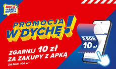 Akcja Antyinflacja czerwiec promocja w dychę.jpg