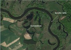 mapka_starorzecze.tif