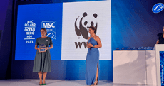 nagroda MSC dla WWF IP header.png