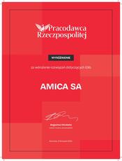 Amica SA.pdf