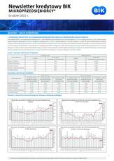 BIK_Newsletter kredytowy - Mikrofirmy_dane XI 2023_28_12_2023.pdf