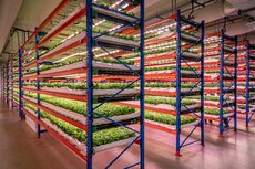 bustanica-insideworld039slargestindoorverticalfarm1.jpg