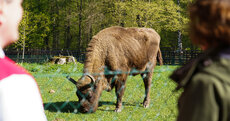 Rezerwat w Białowieży 2_Pekao_kwiecień 2024.jpg