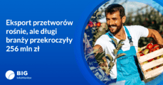 Grafika_przetwórstwo owoców i warzyw.png