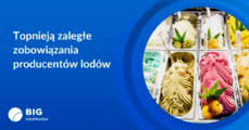 Grafika_producenci lodów.png