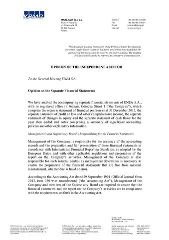 Independent Auditor's Opinion