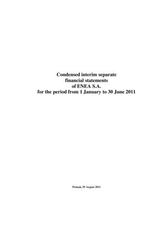 Individual financial statement IFS