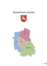 Raport_2014_woj.lubelskie.pdf