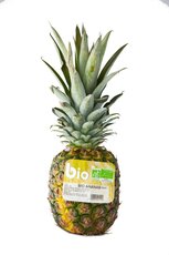 bio_ananas.jpg